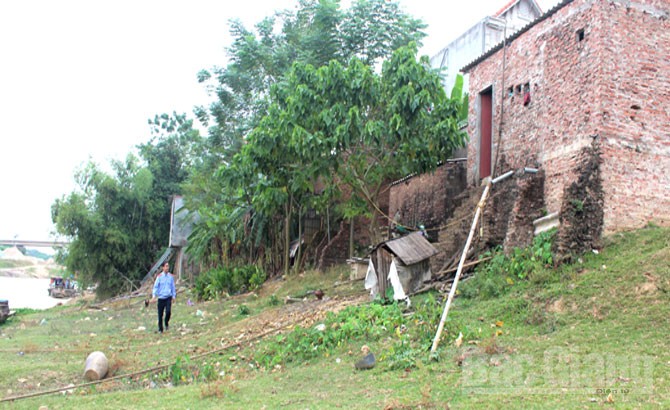 Thông tin từ đường dây nóng